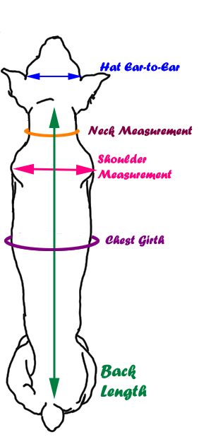 Measurement Diagram